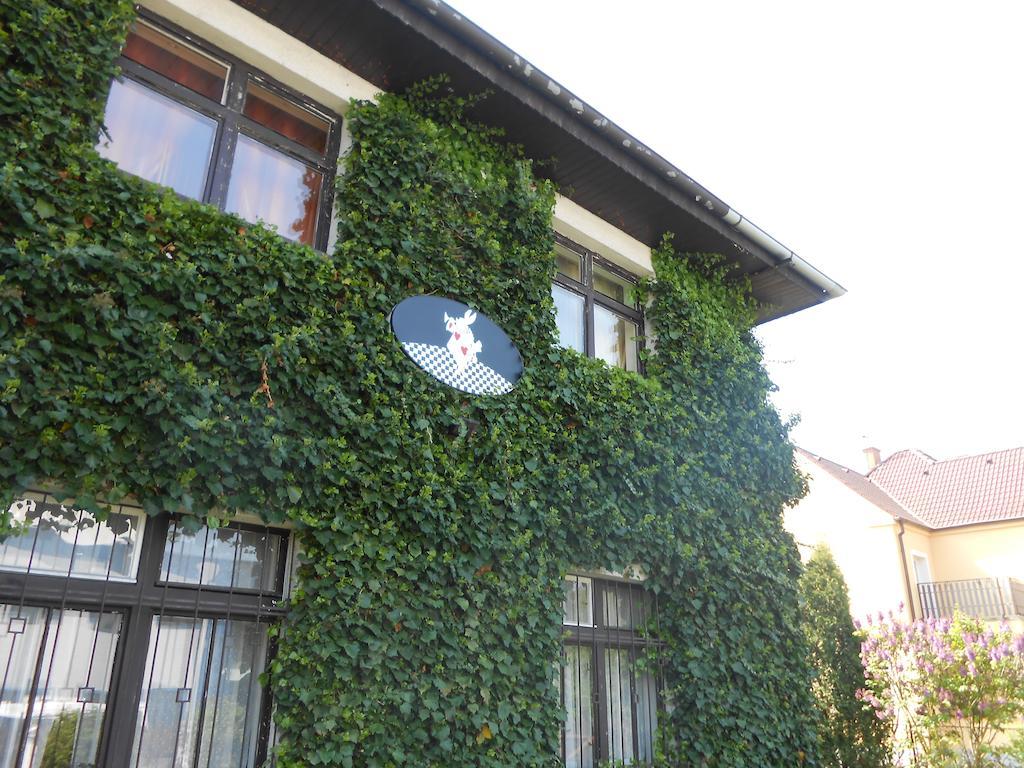 White Rabbit Hall Podebrady Ngoại thất bức ảnh